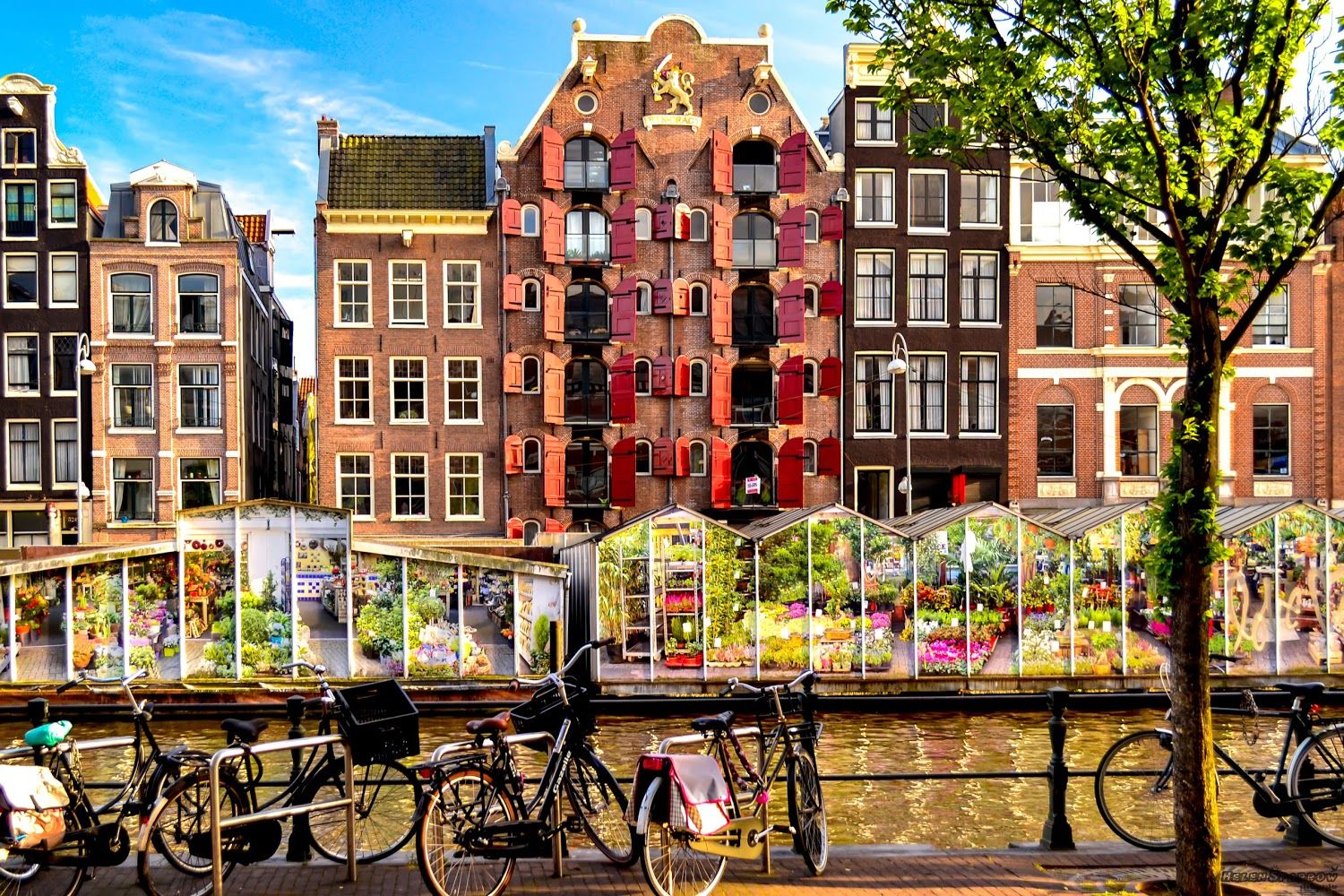 Kinh nghiệm du lịch Hà Lan - Bloemenmarkt
