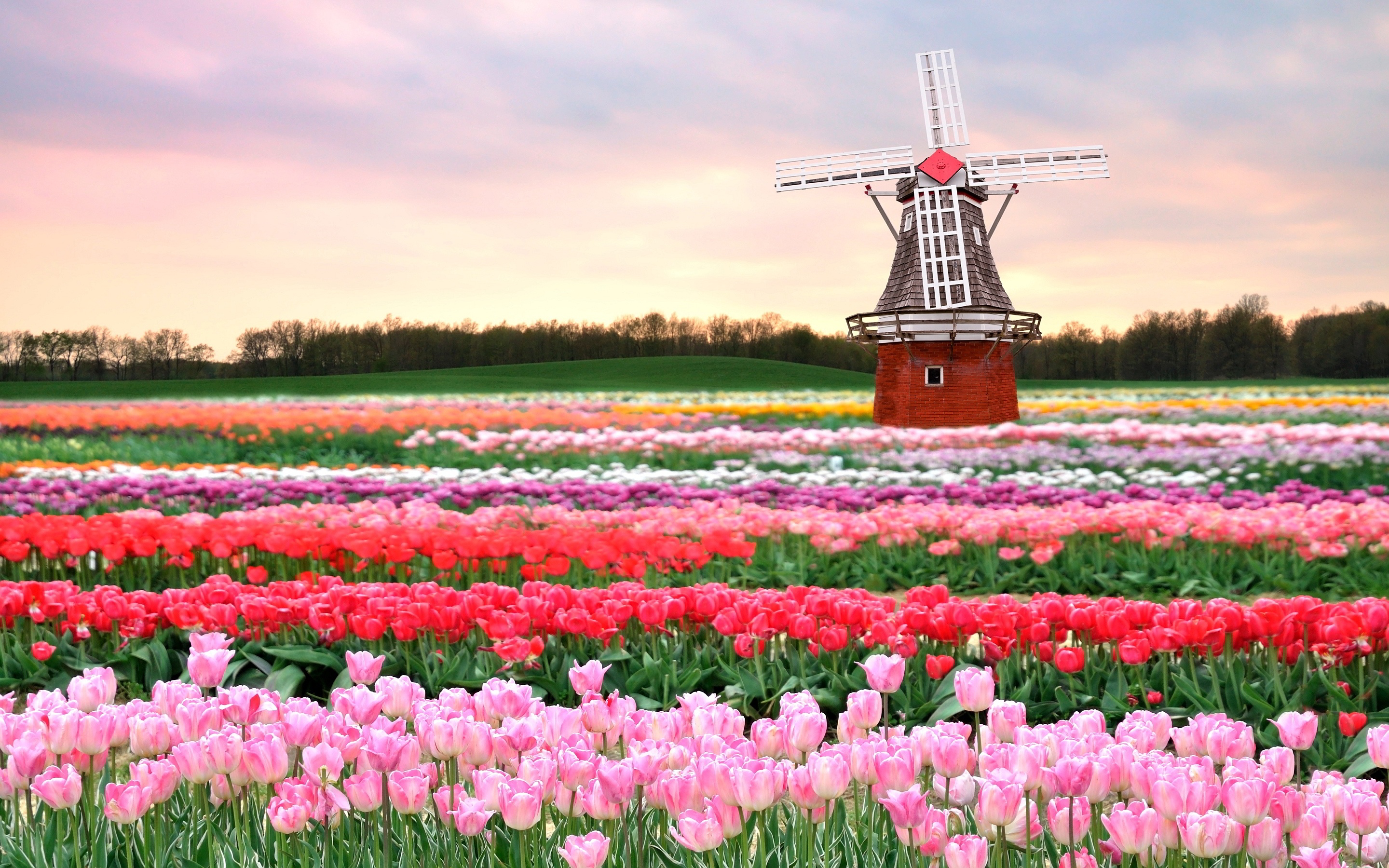 Kinh nghiệm du lịch Hà Lan - Hà Lan vào mùa xuân
