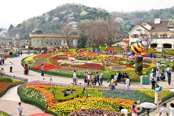 Everland Park: Korea's Most Famous Recreation World