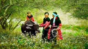 Du lịch Sapa - Gia đình H'Mông