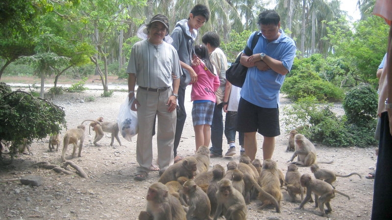 Du lịch Nha Trang tại đảo khỉ