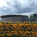 Khám phá Châu Âu cổ kính 7N6Đ - Bảo tàng Van Gogh