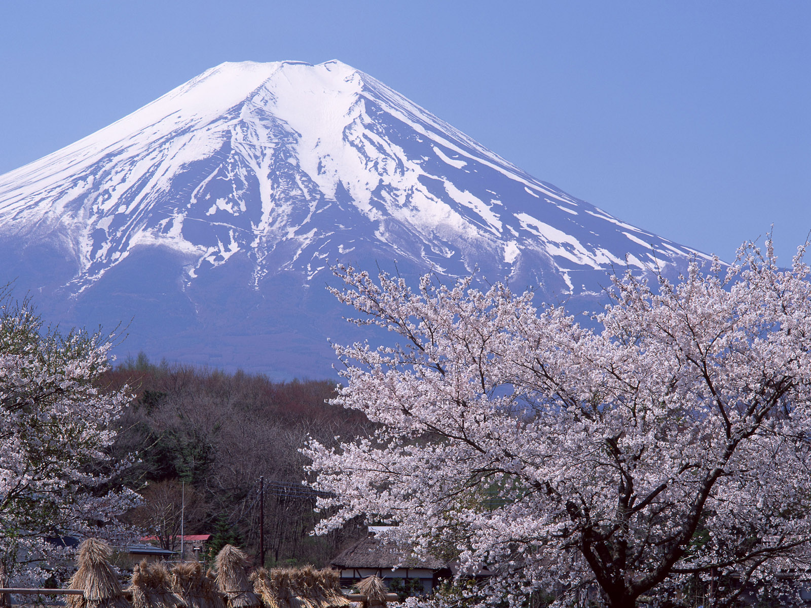 Fuji - Khám Phá Ngọn Núi Linh Thiêng Của Nhật Bản