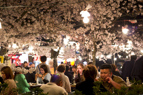 Discover Beautiful Hanami Cherry Blossom Festival In Japan
