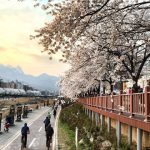 Kinh nghiệm du lịch Hàn Quốc tự túc