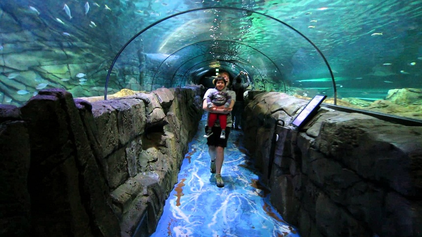 Thủy Cung Sydney - Sea Life Sydney Aquarium