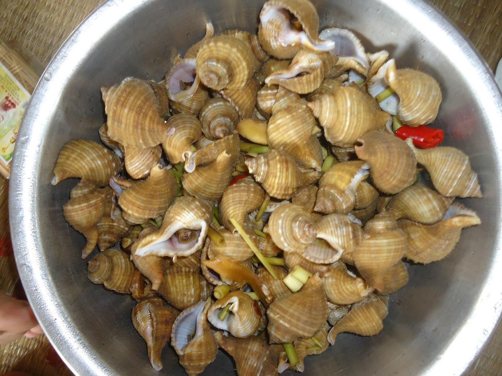 Bai Da Nhay - Quang Binh - Enjoy specialties of steaming communal snails at Da Nhay beach
