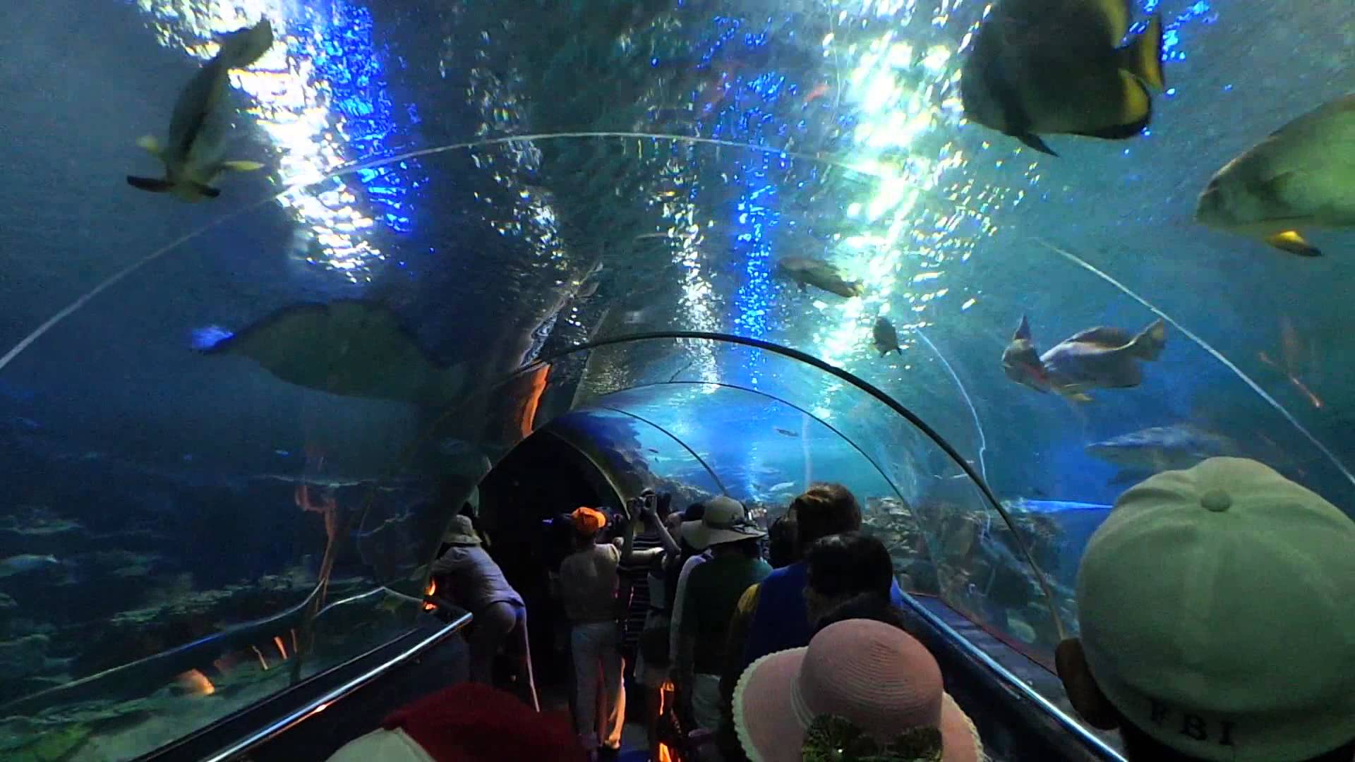 Vinpearl Land Nha Trang - Aquarium