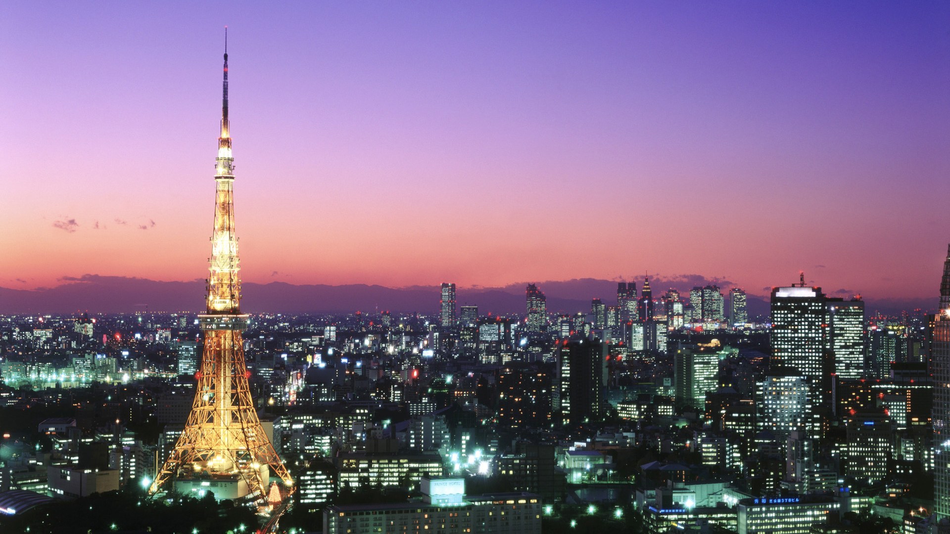 Explore Tokyo - The Capital of the Land of the Rising Sun.