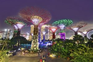 Singapore Khám phá những sắc màu về đêm