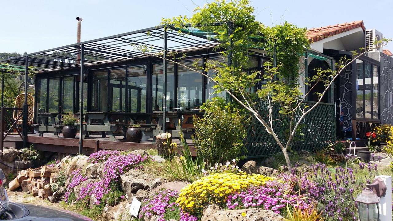 Kinh nghiệm du lịch đảo Jeju - Doldam Guesthouse