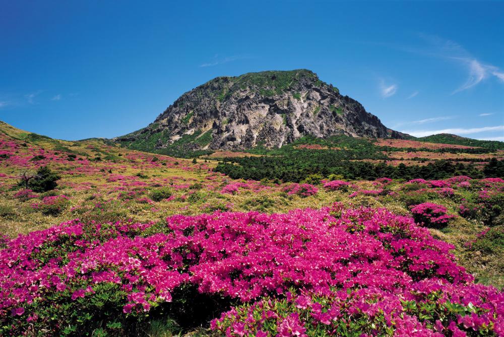 Kinh nghiệm du lịch đảo Jeju - Hallasan National Park