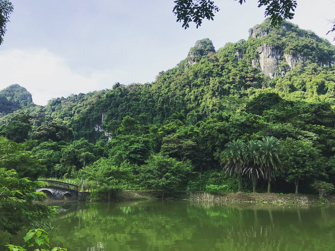 Rừng quốc gia Cúc Phương - Điểm đến gần Hà Nội