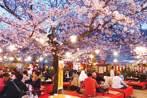 Lễ Hội Hanami - Lễ Hội Hoa Anh Đào Tuyệt Đẹp Ở Nhật Bản