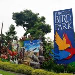 Kinh nghiệm khám phá vườn chim Jurong khi du lịch Singapore