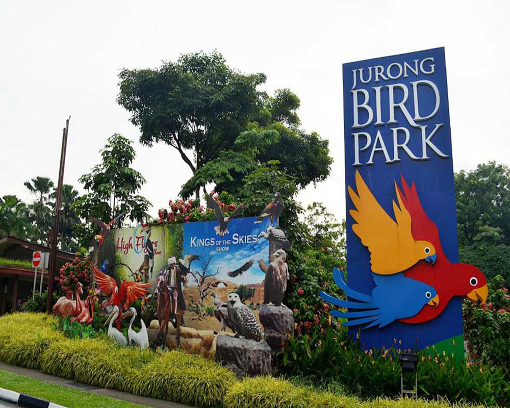 Kinh nghiệm khám phá vườn chim Jurong khi du lịch Singapore