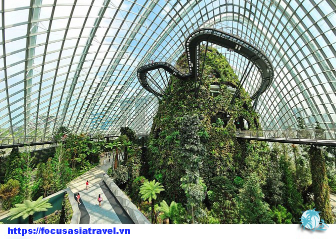 vườn thực vật Gardens by the Bay Singapore