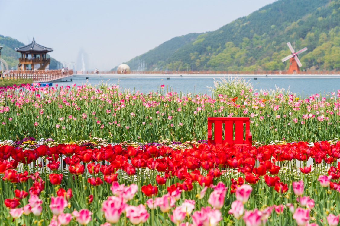 Tour Hàn Quốc 6N5Đ: Busan – Daegu – Seoul | VNA 2026 - Ảnh 14