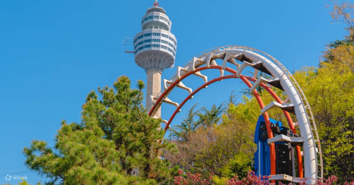 Tour Hàn Quốc 6N5Đ: Busan – Daegu – Seoul | VNA 2026 - Ảnh 12