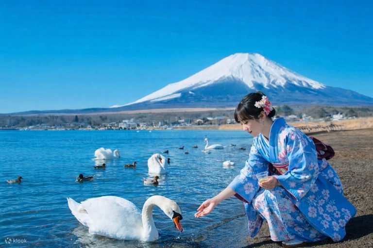 TOUR TOKYO MONO HÈ 2026: YAMANASHI - FUJI - DISNEYLAND