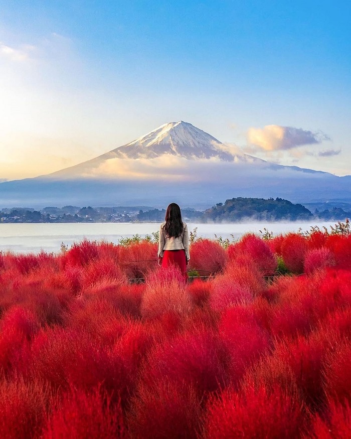 Tour Cung Đường Vàng TPHCM - TOKYO – FUJI – KYOTO – OSAKA 6N5Đ - Ảnh 6