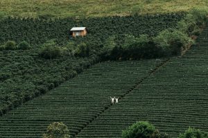 Địa điểm du lịch Đà Lạt