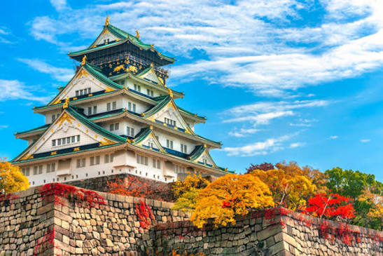 Tour Cung Đường Vàng TPHCM - TOKYO – FUJI – KYOTO – OSAKA 6N5Đ - Ảnh 11