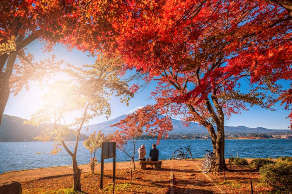 Tour Cung Đường Vàng TPHCM - TOKYO – FUJI – KYOTO – OSAKA 6N5Đ - Ảnh 15