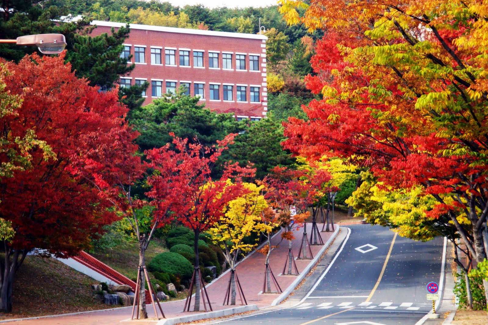 Tour Hàn Quốc 6N5Đ: Busan – Daegu – Seoul | VNA 2026 - Ảnh 10