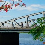 Top 7 Cây Cầu Sống Ảo Đẹp Nhất Việt Nam