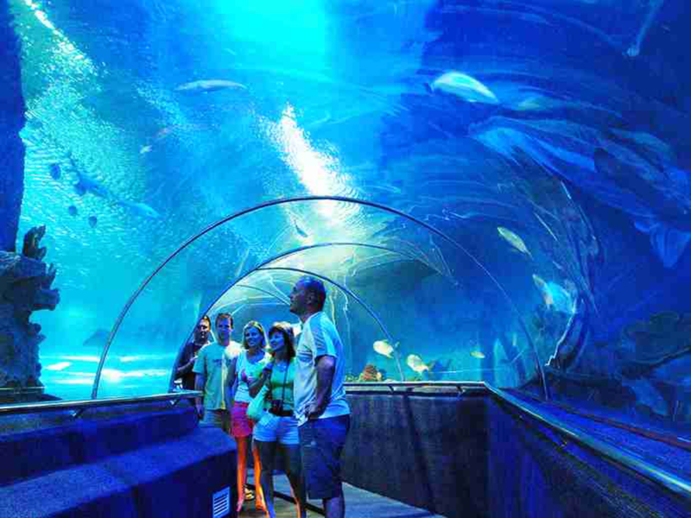 Institute of Oceanography - Nha Trang travel 1 day