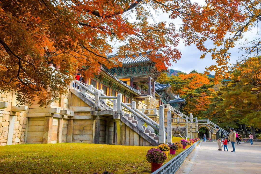 Tour TPHCM - BUSAN - SEOUL - ĐẢO NAMI 6N5Đ - Ảnh 5