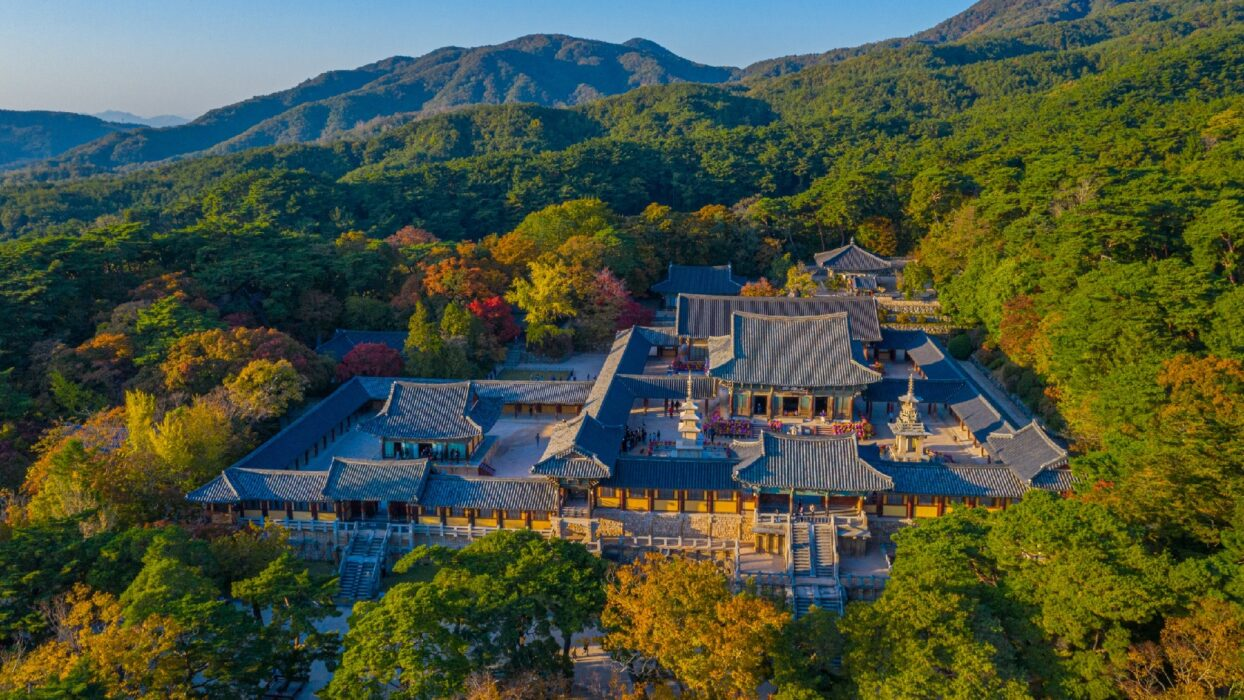 Tour TPHCM - BUSAN - SEOUL - ĐẢO NAMI 6N5Đ - Ảnh 14