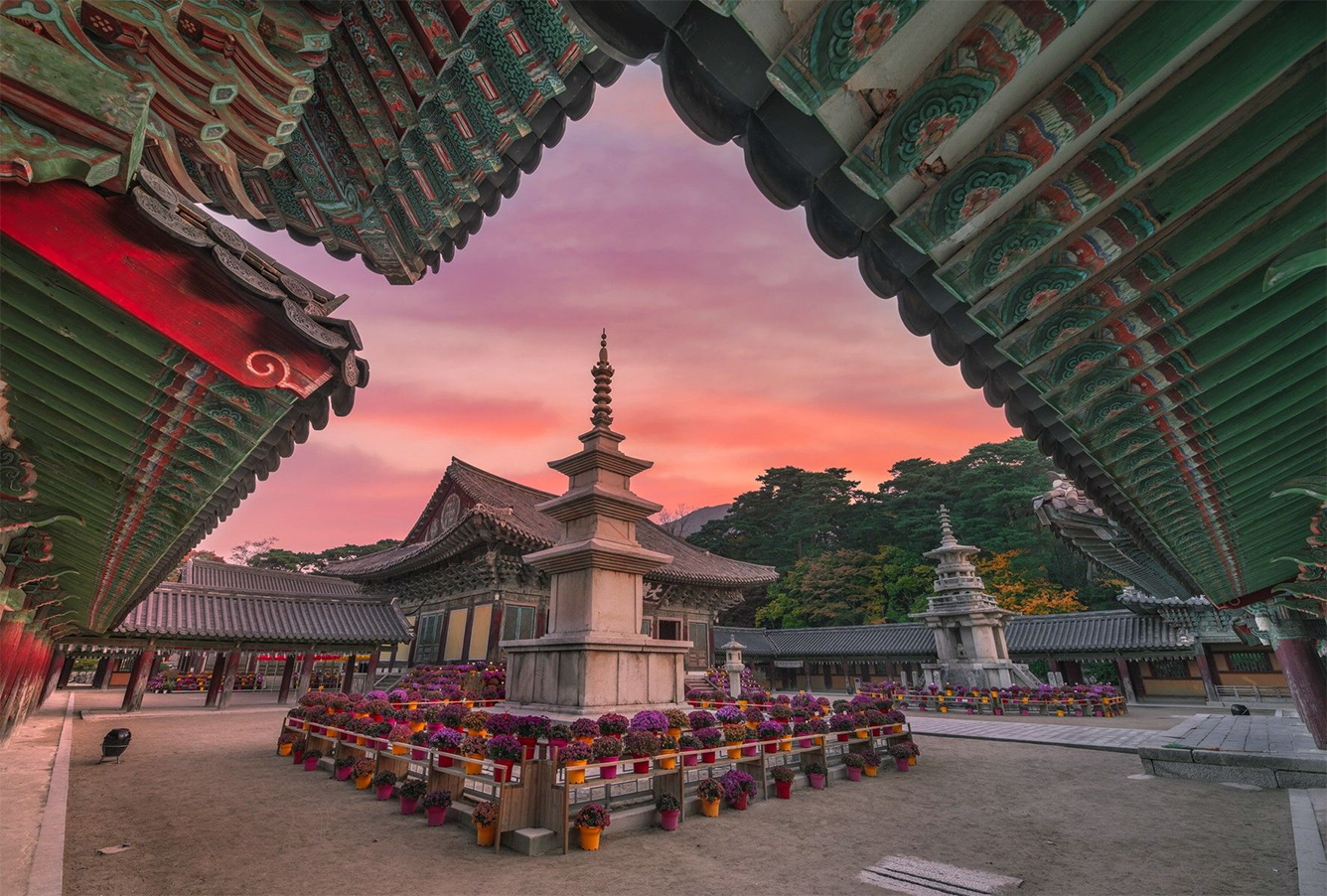 Tour TPHCM - BUSAN - SEOUL - ĐẢO NAMI 6N5Đ - Ảnh 13