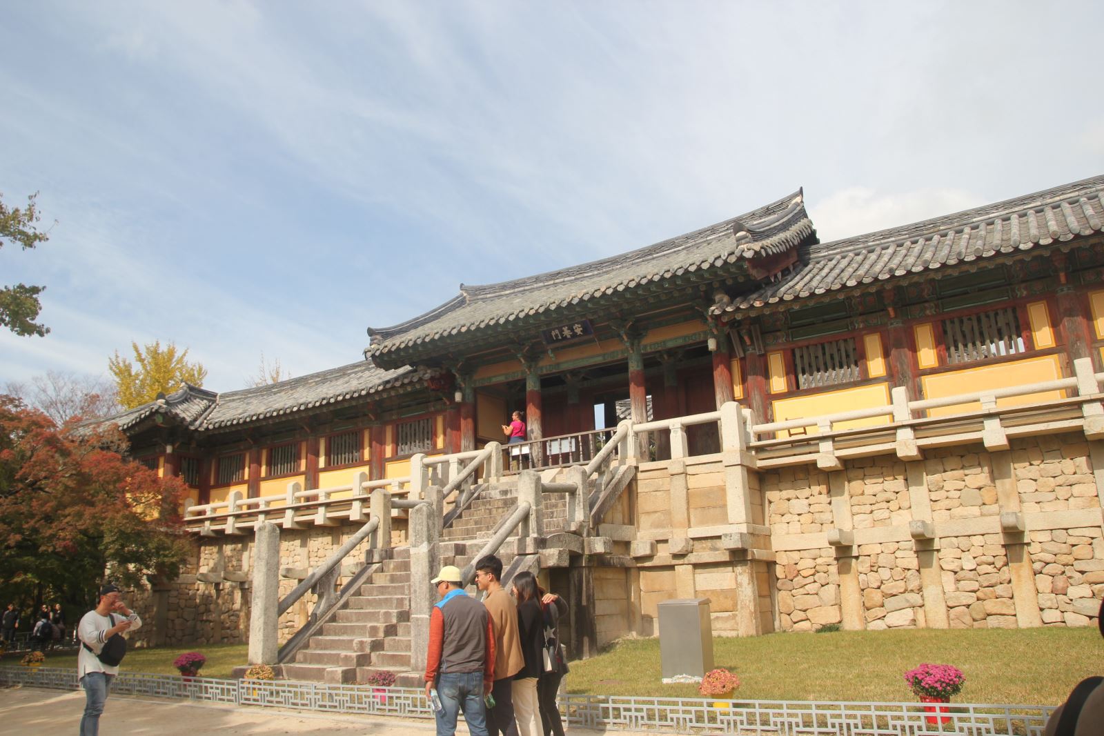 Tour TPHCM - BUSAN - SEOUL - ĐẢO NAMI 6N5Đ - Ảnh 8