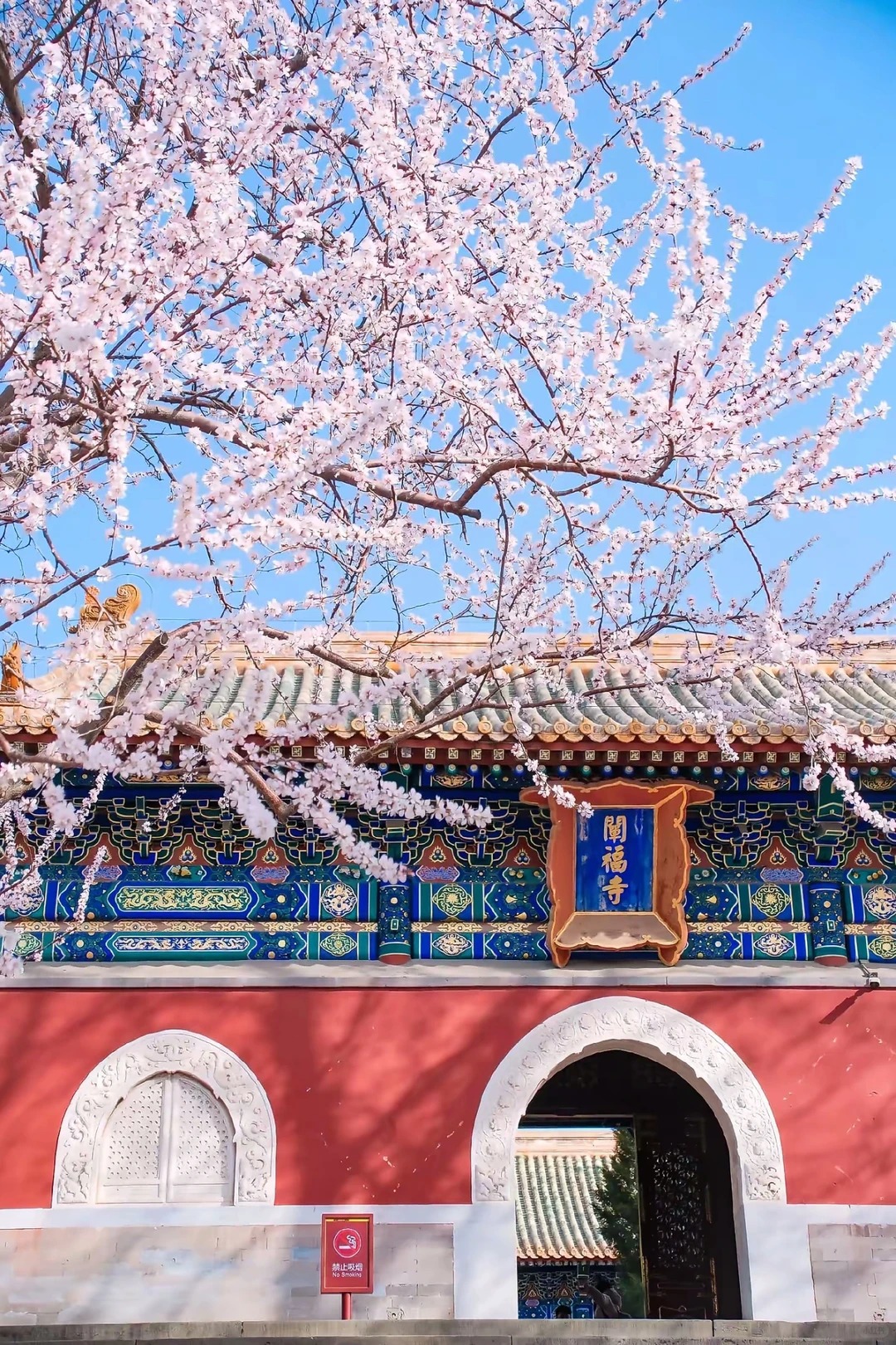 TP. Hồ Chí Minh - BẮC KINH - THƯỢNG HẢI - TÔ CHÂU - HÀNG CHÂU 7N6Đ - Ảnh 22