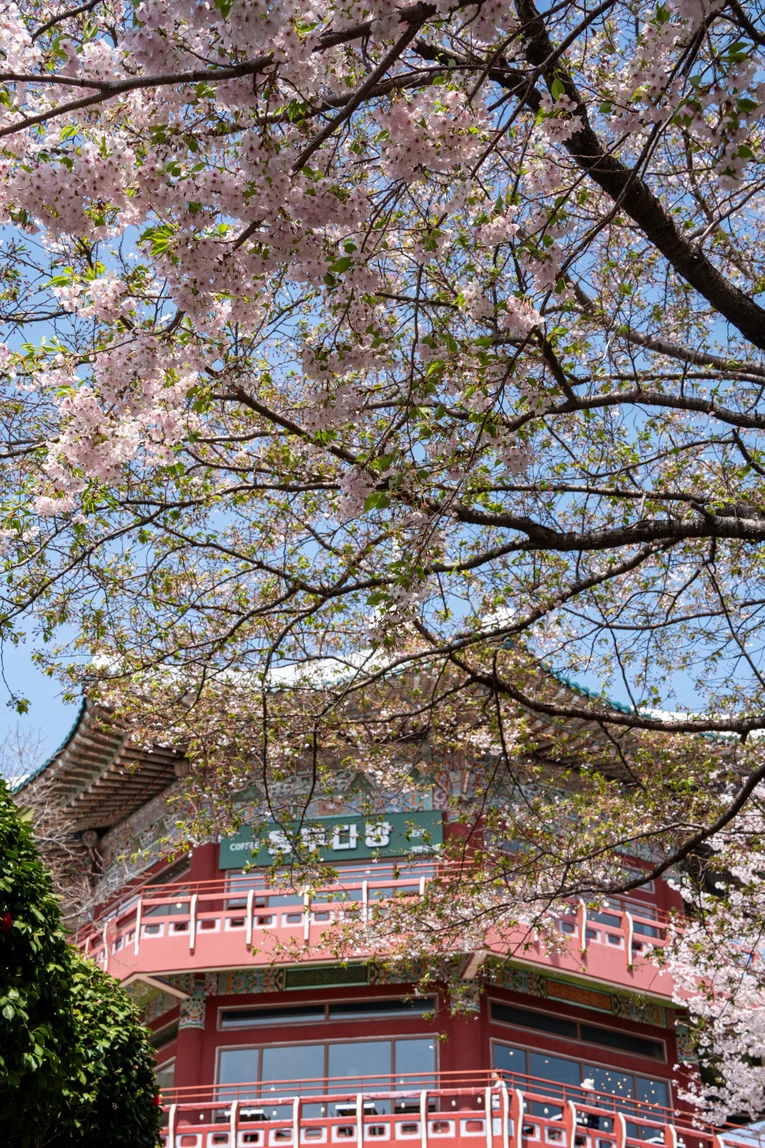 Tour TPHCM - BUSAN - SEOUL - ĐẢO NAMI 6N5Đ - Ảnh 20