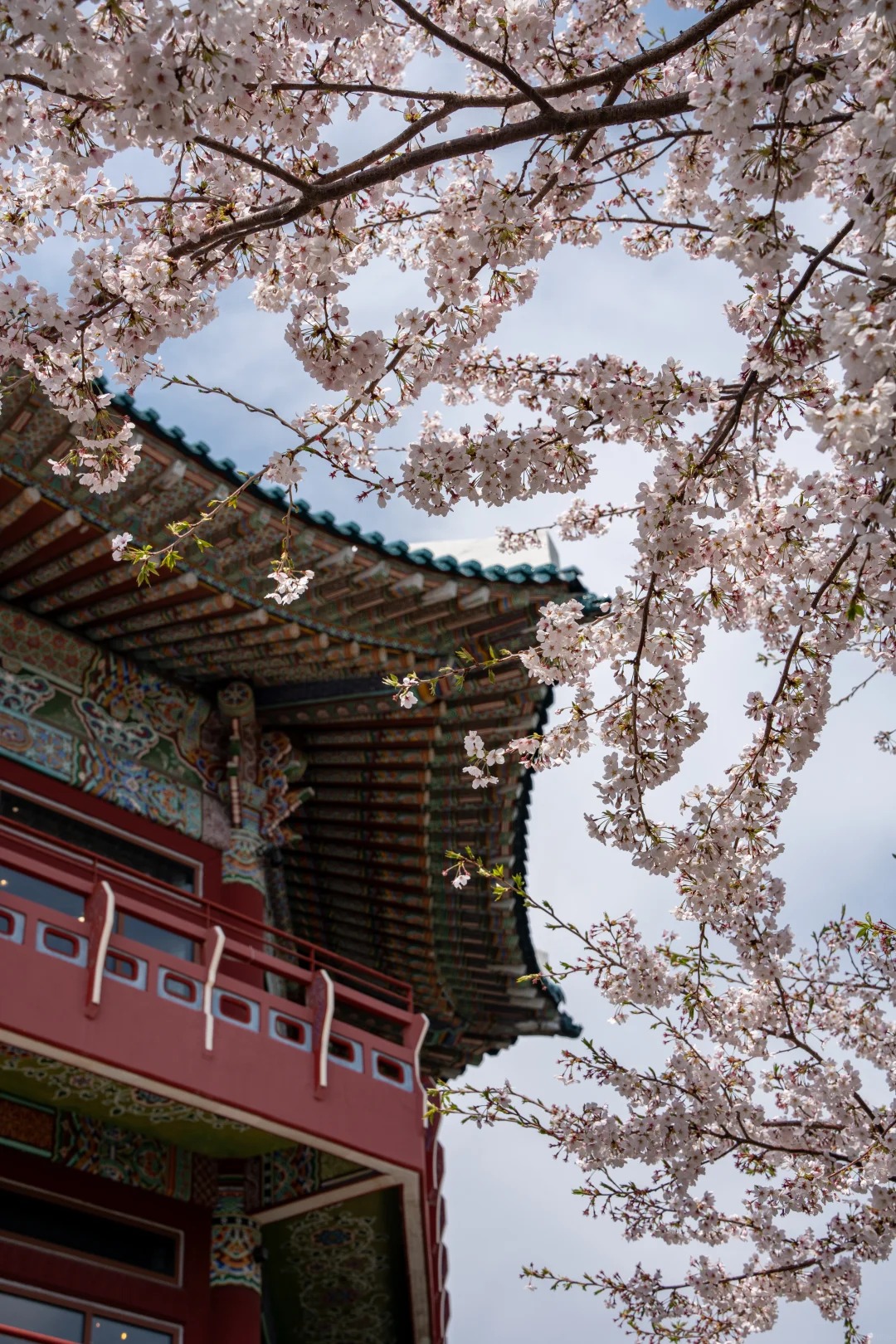 Tour TPHCM - BUSAN - SEOUL - ĐẢO NAMI 6N5Đ - Ảnh 18