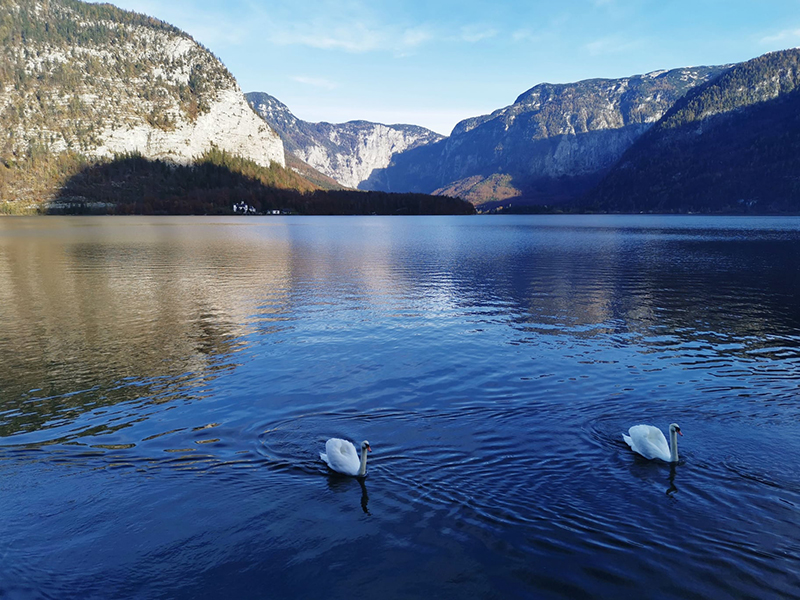 Thị trấn Hallstatt - Ngôi làng ven hồ đẹp nhất thế giới