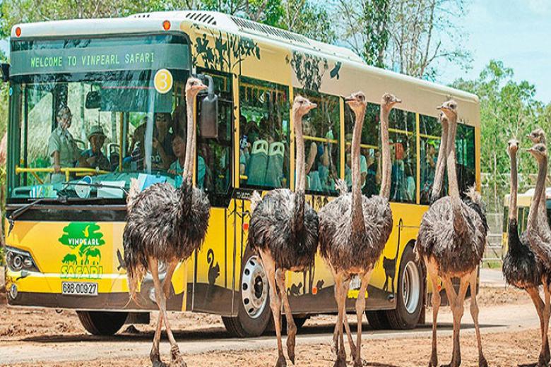 Phu Quoc Safari Zoo