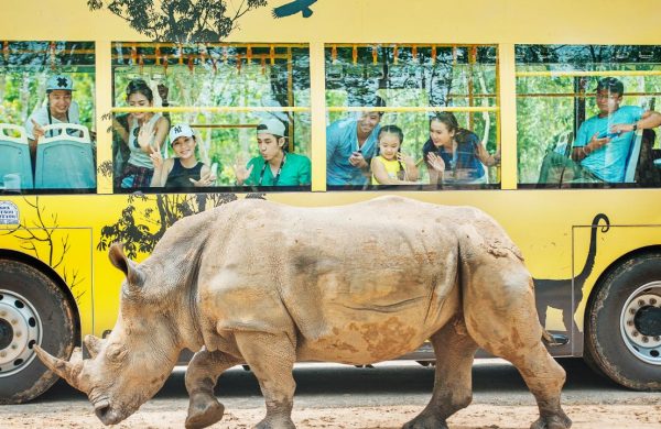 Phu Quoc Safari Zoo - Focus Asia and Vietnam Travel & Leisure