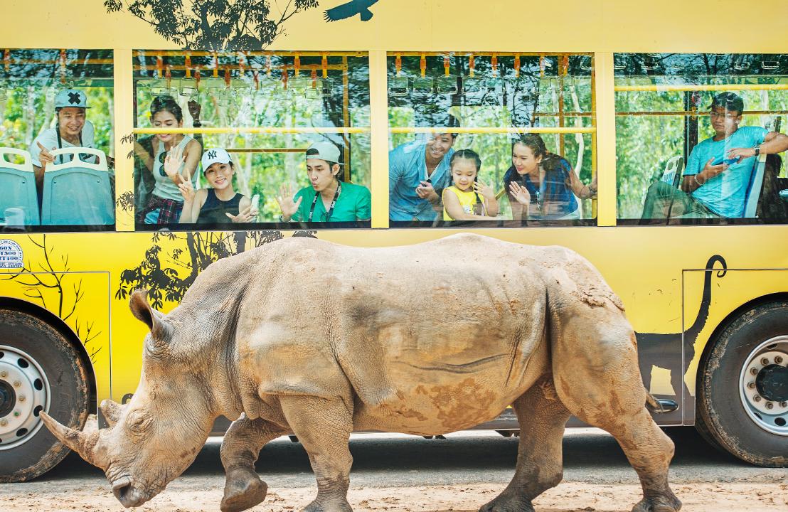 Vườn thú mở - Open Zoo