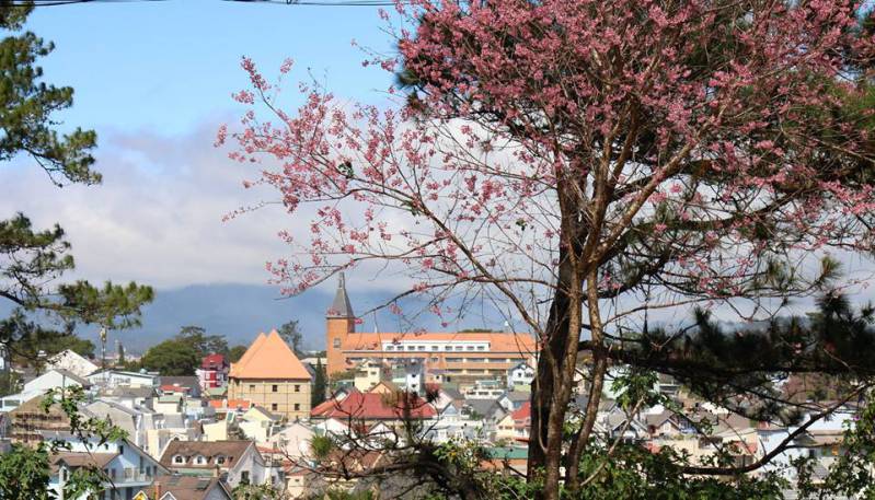 Da Lat March