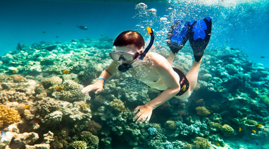 snorkeling in the ring beach