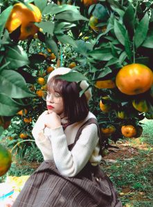 Thăm quan vườn cam Mộc Châu
