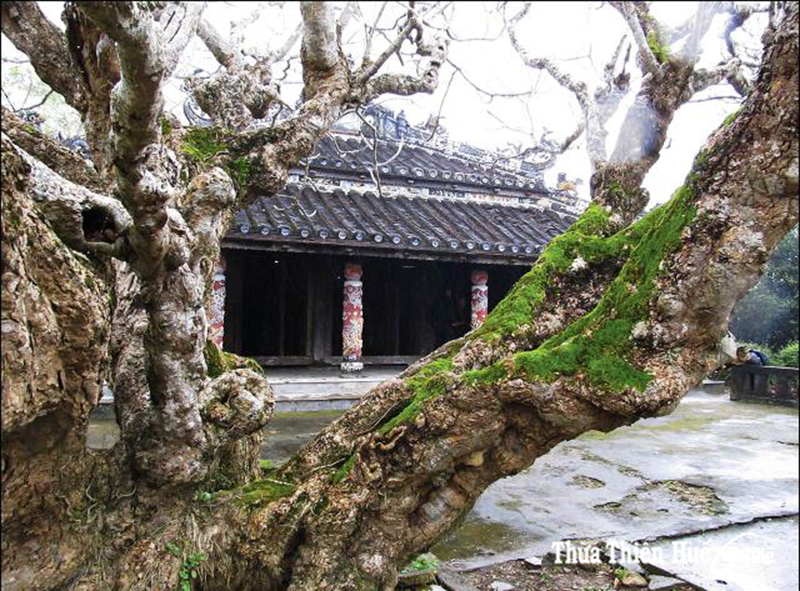 Ngôi chùa cổ Giác Lương - Nét đẹp đậm chất Huế
