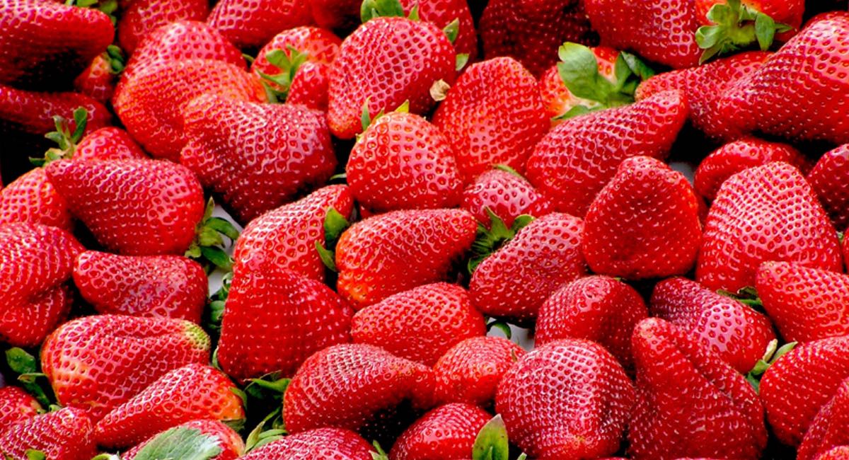 Dalat specialties - strawberries