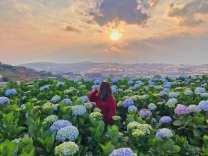 Review of Dalat travel experience