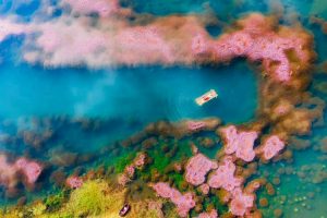Hồ tảo hồng Đà Lạt