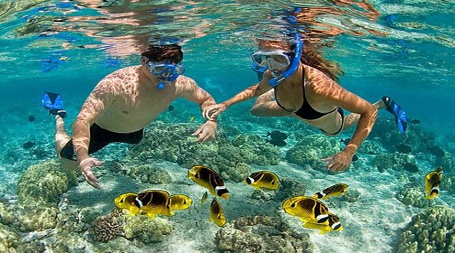 Great coral snorkeling activity